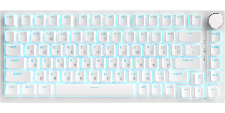 AK820-R-W