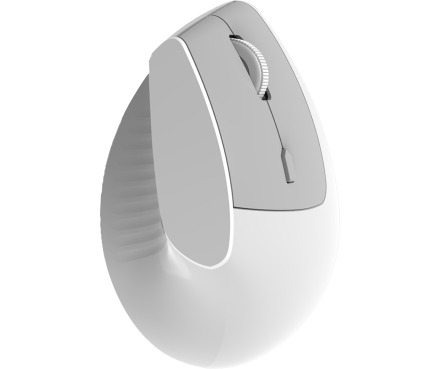 i300-W